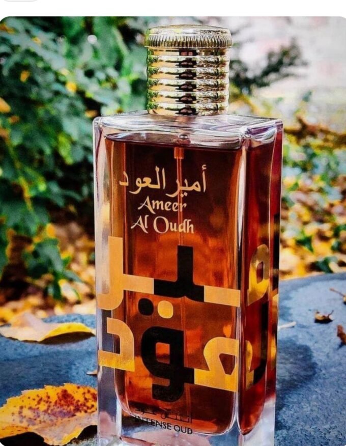 LATTAFA UNISEX AMEER AL OUDH INTENSE OUD EDP 100ML ( 3.4OZ ) - Image 2