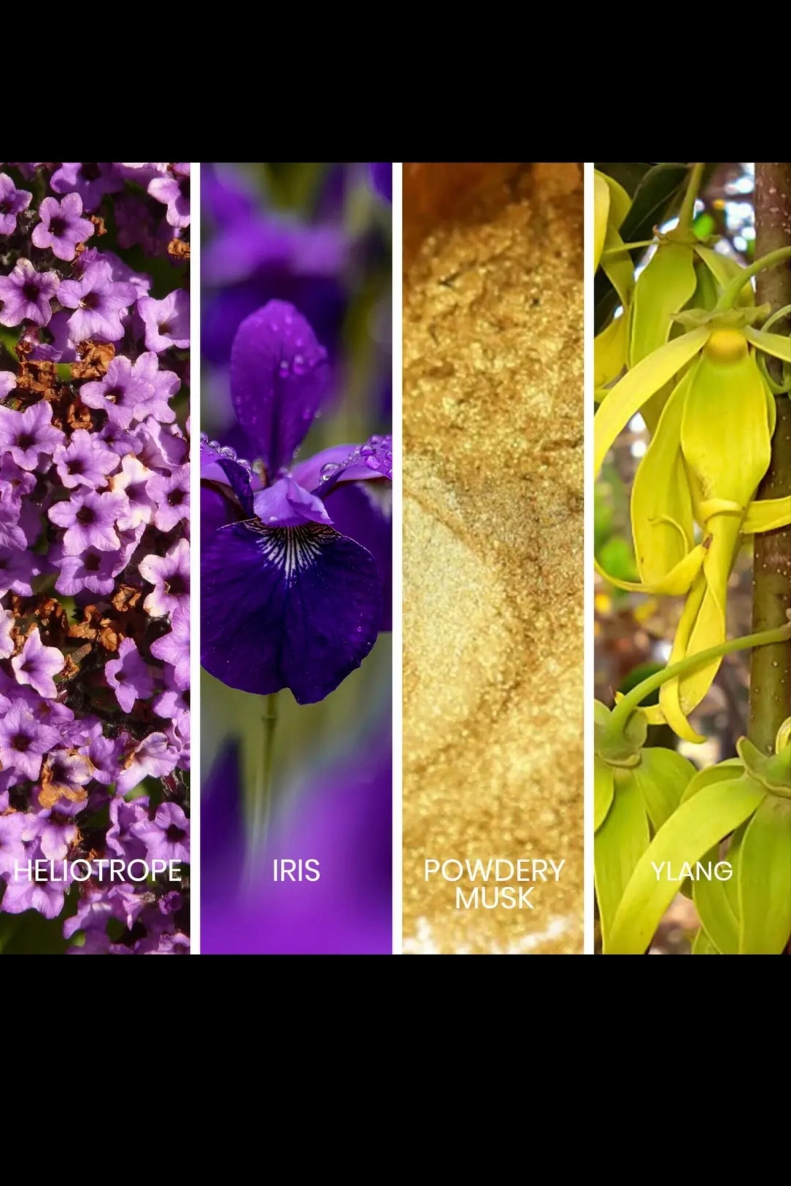 SAPIL CARESSE EAU DE PARFUM for women 80ml - Image 2